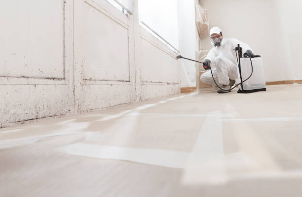 24/7 Emergency Mold Removal experts in Barrington, IL